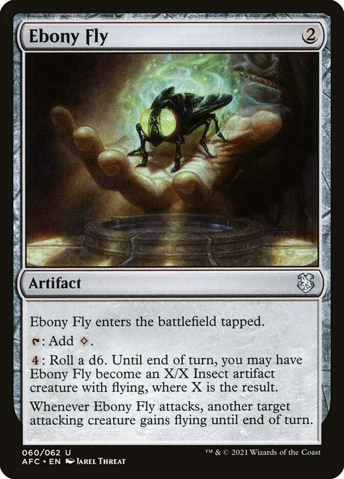Ebony Fly Front Face