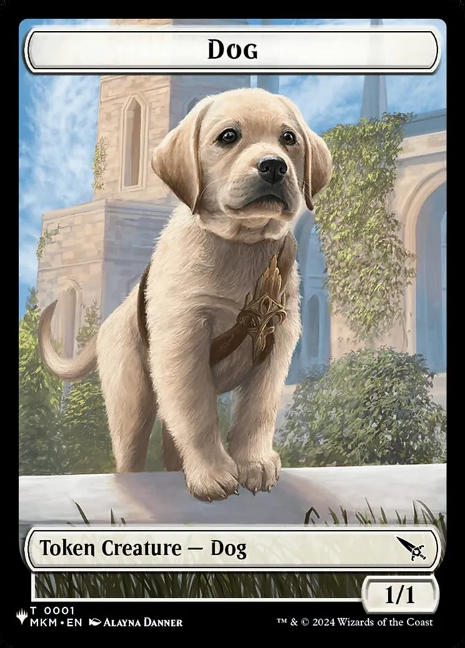 Dog Front Face