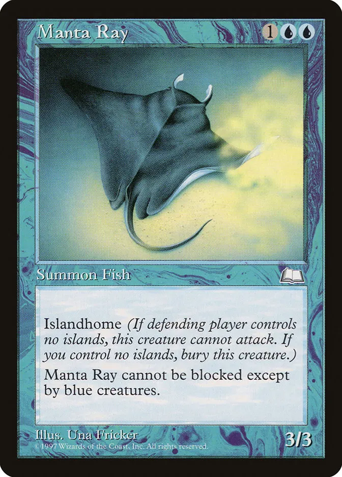 Manta Ray Front Face