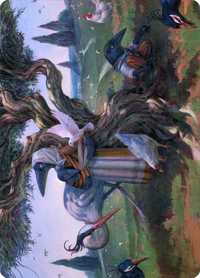 Kindred Discovery // Kindred Discovery Front Face