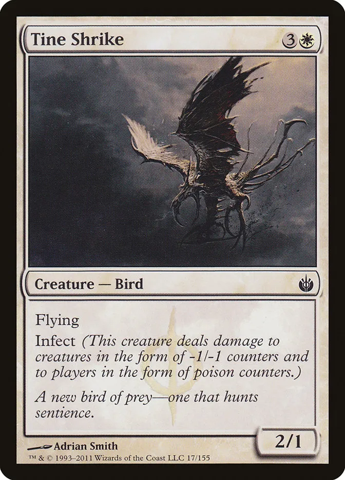 Tine Shrike Front Face