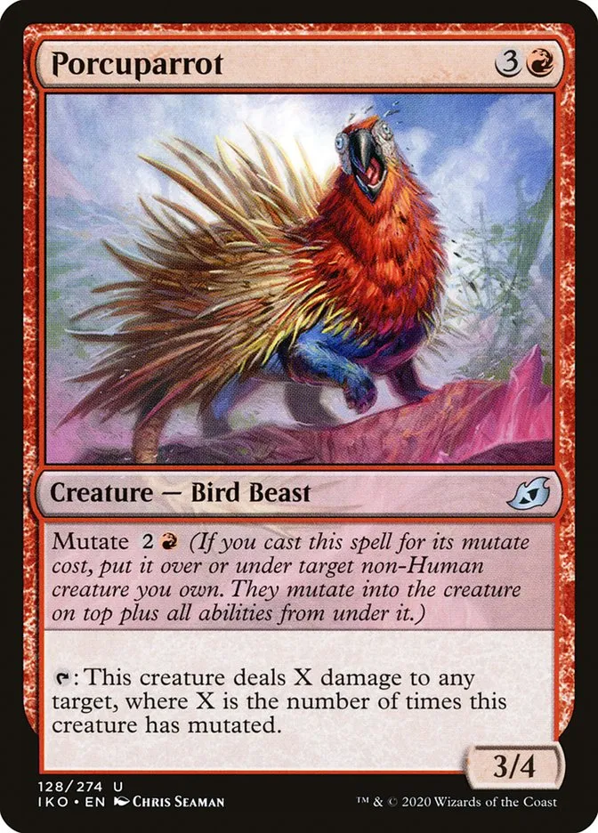 Porcuparrot Front Face