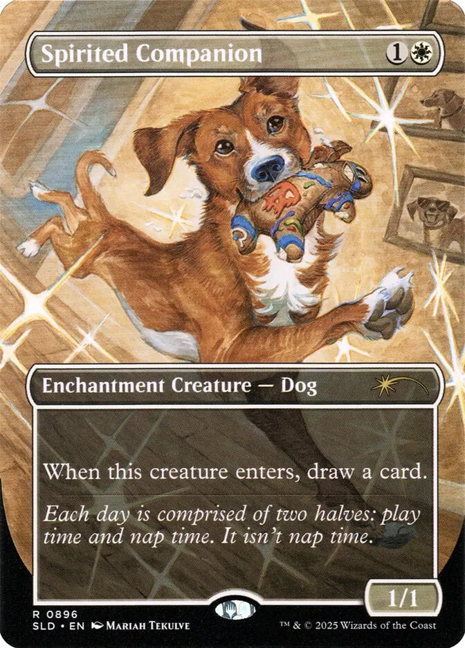 Spirited Companion Front Face