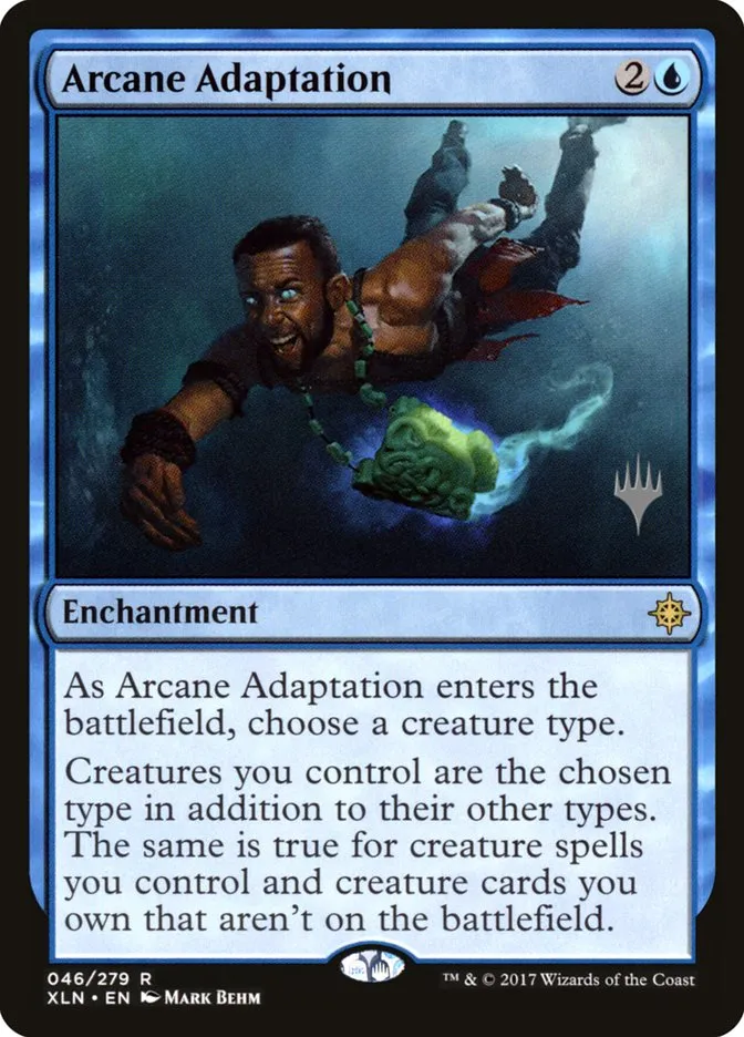 Arcane Adaptation Front Face