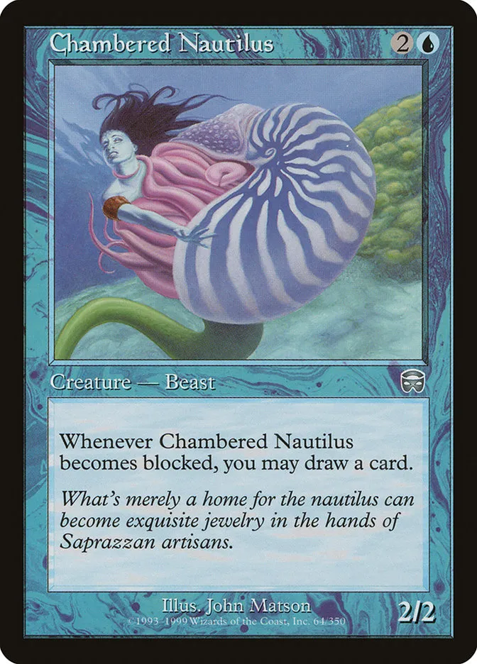 Chambered Nautilus Front Face