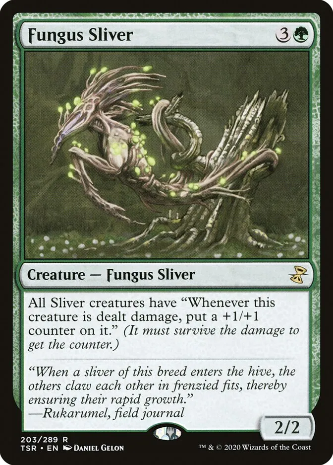 Fungus Sliver Front Face