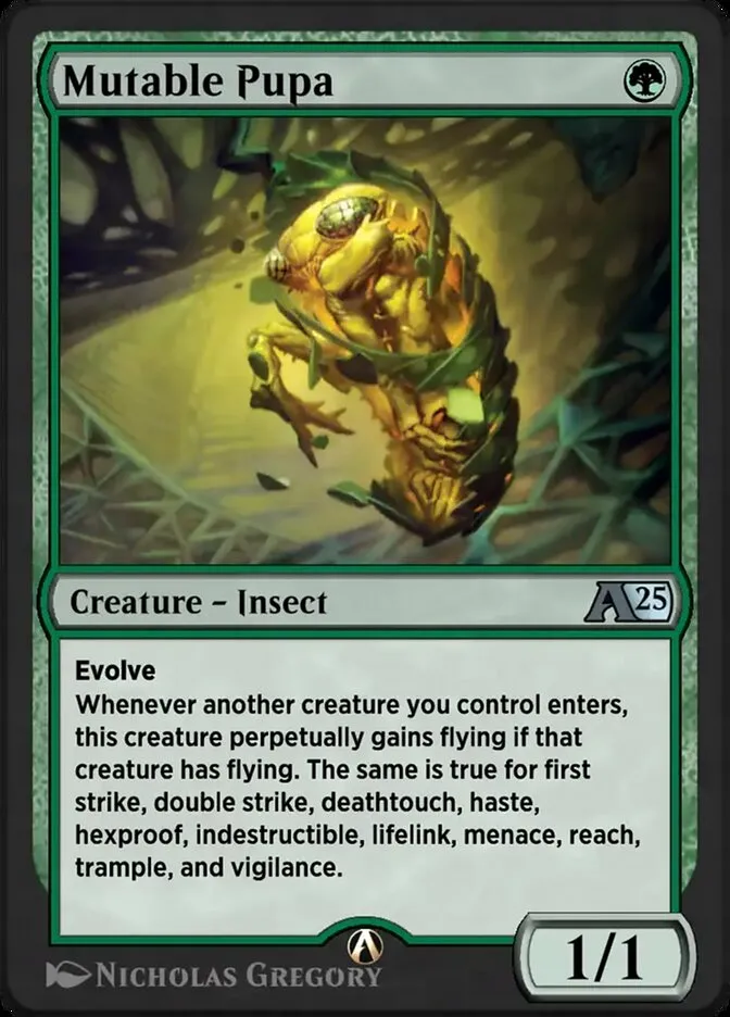 Mutable Pupa Front Face