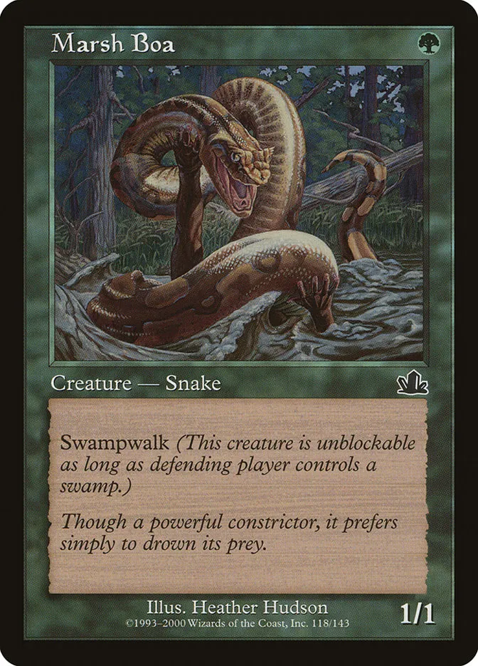 Marsh Boa Front Face