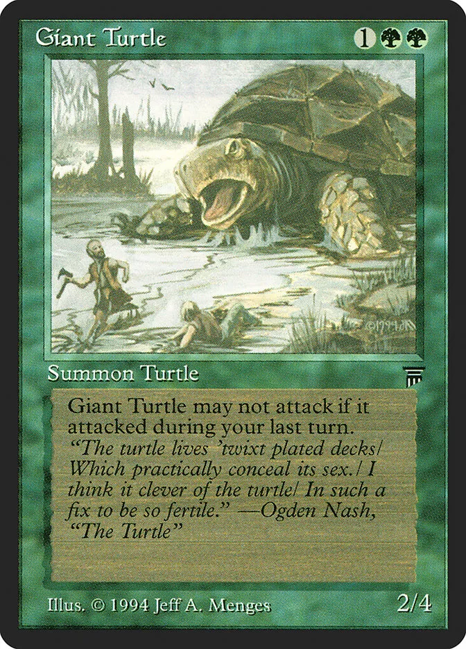 Giant Turtle Front Face