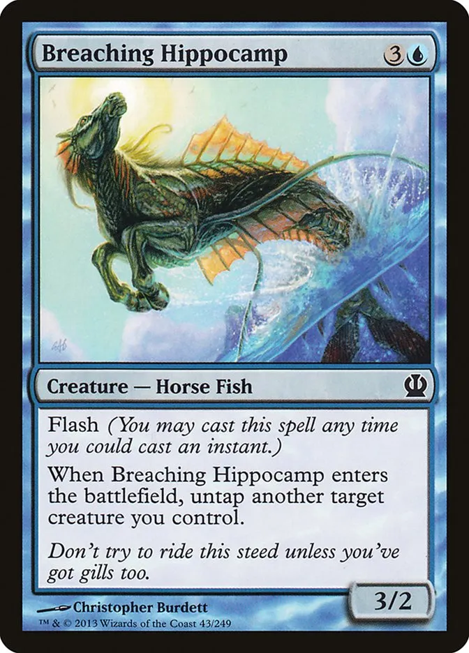 Breaching Hippocamp Front Face