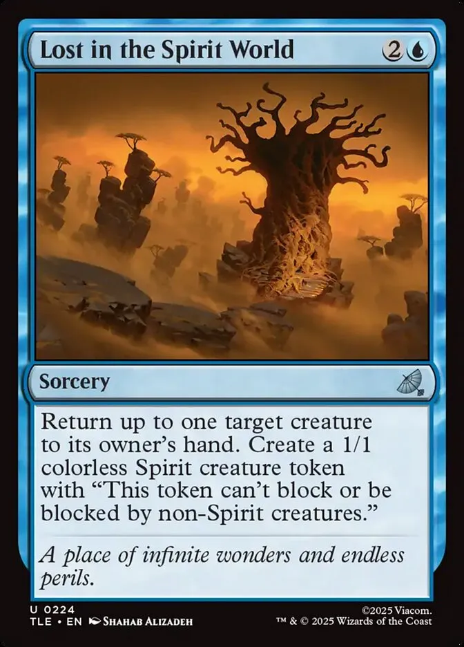 Lost in the Spirit World Front Face