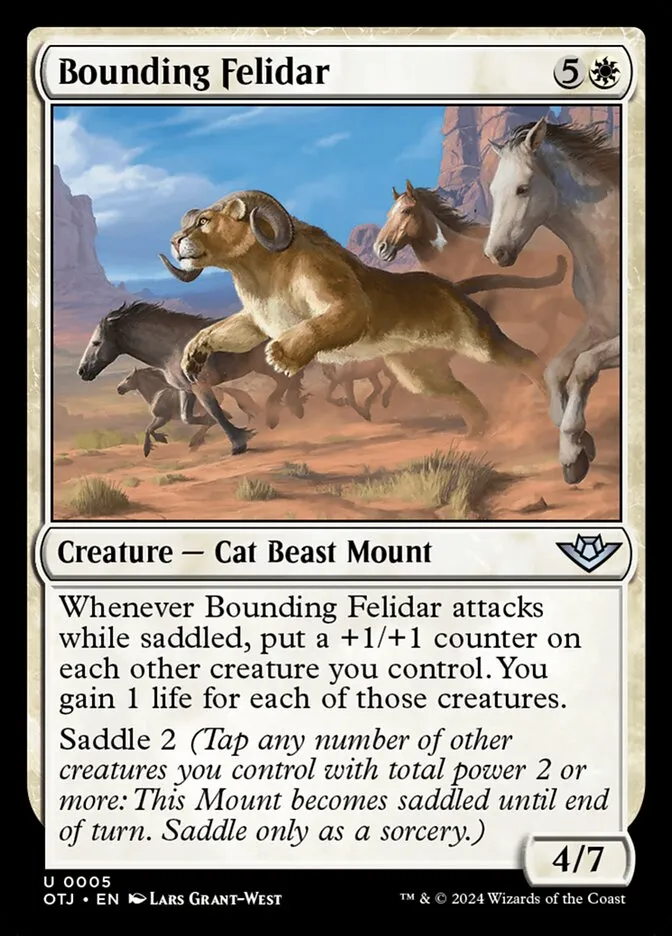 Bounding Felidar Front Face