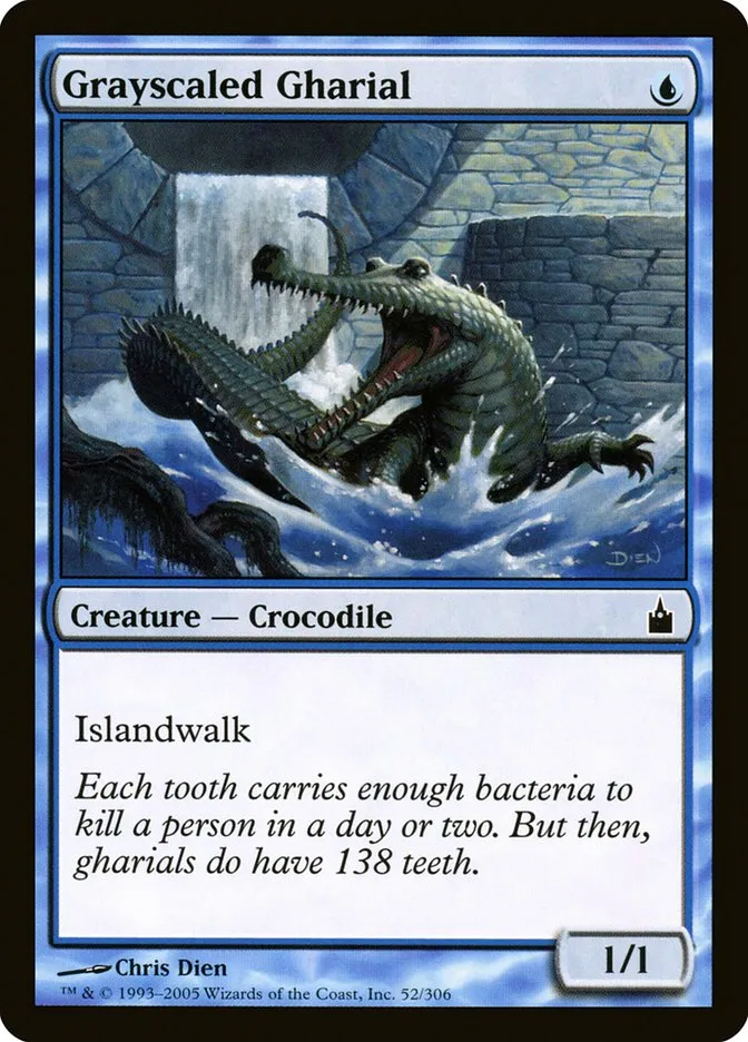 Grayscaled Gharial Front Face