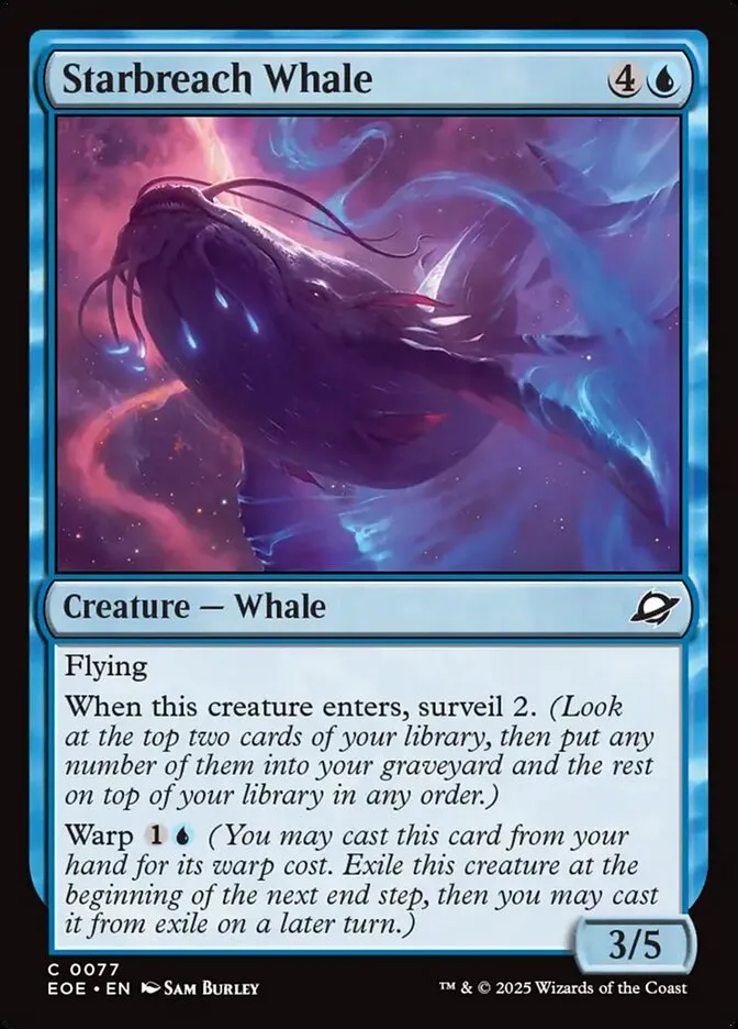 Starbreach Whale Front Face