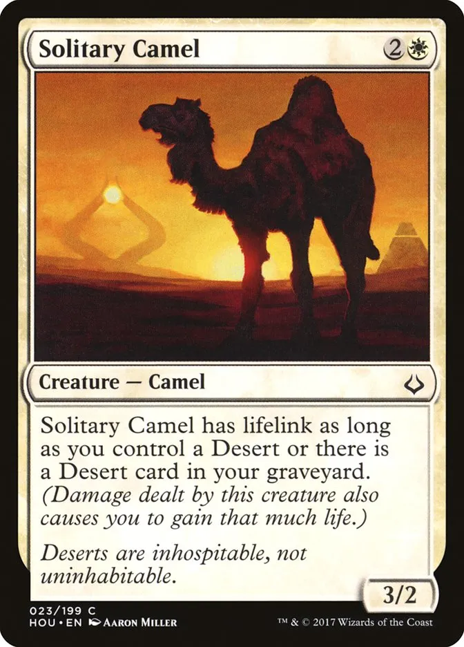 Solitary Camel Front Face