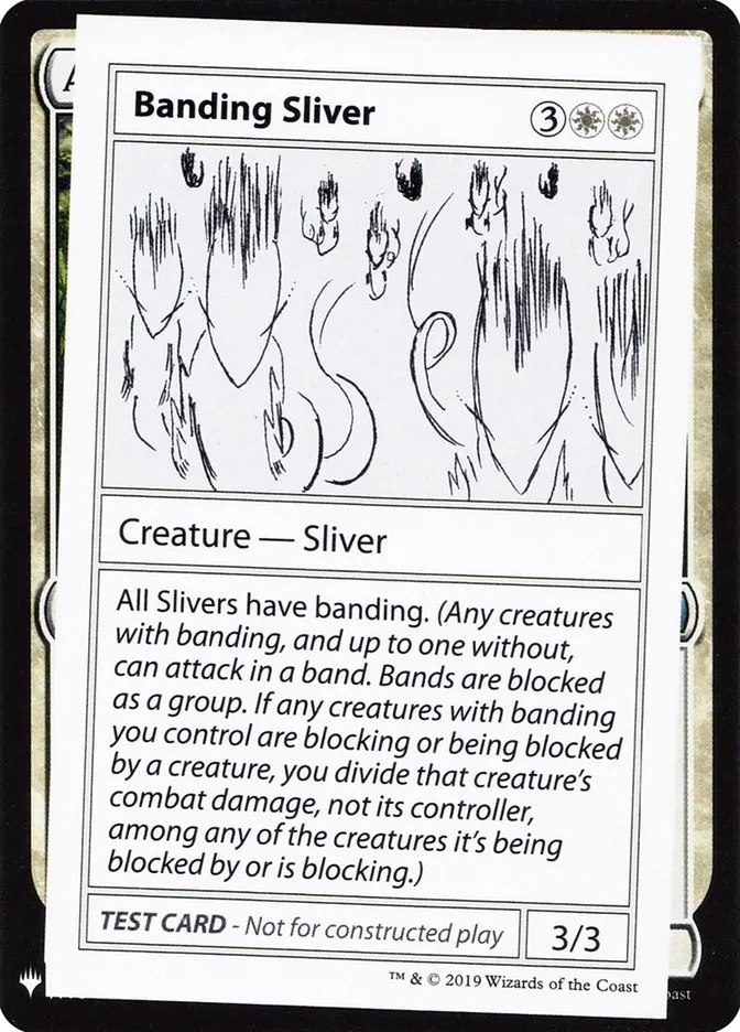 Banding Sliver Front Face
