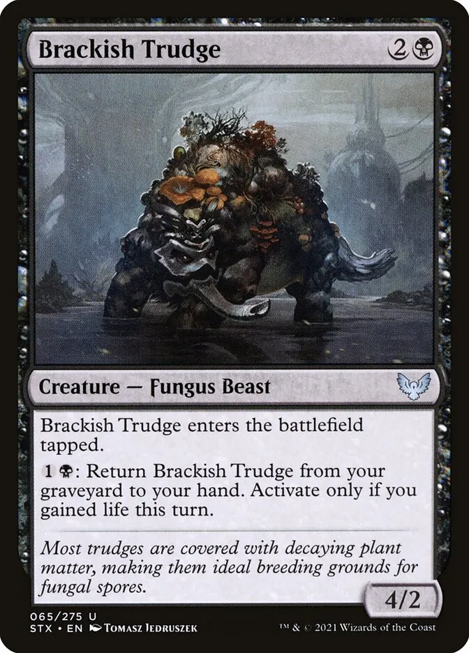 Brackish Trudge Front Face