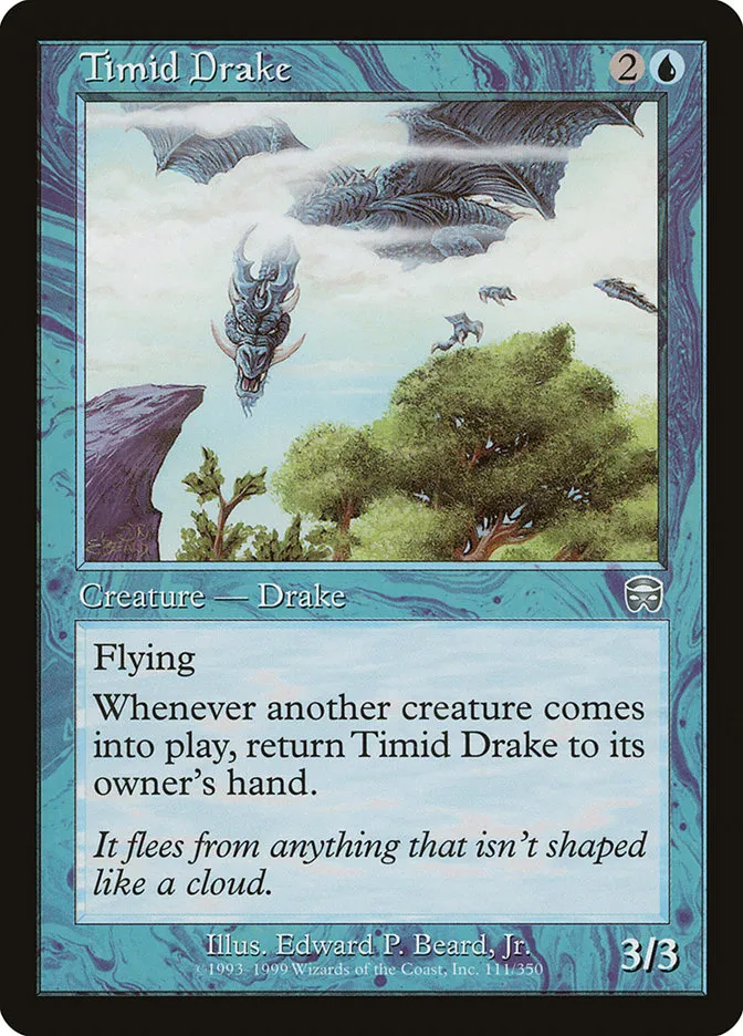 Timid Drake Front Face