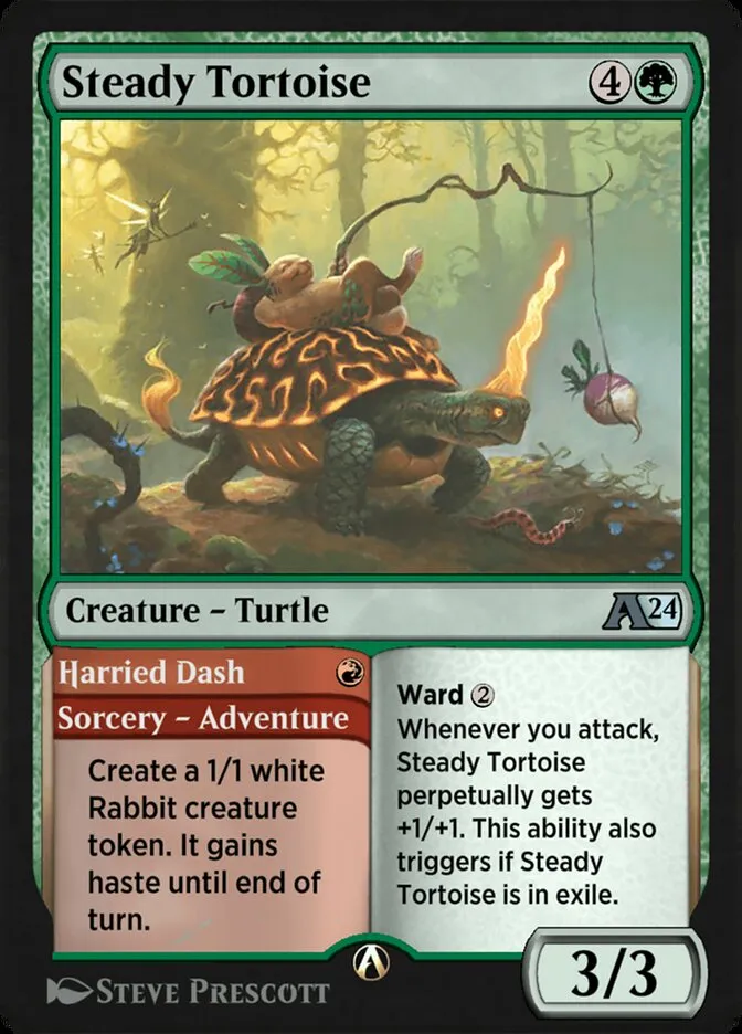 Steady Tortoise // Harried Dash Front Face