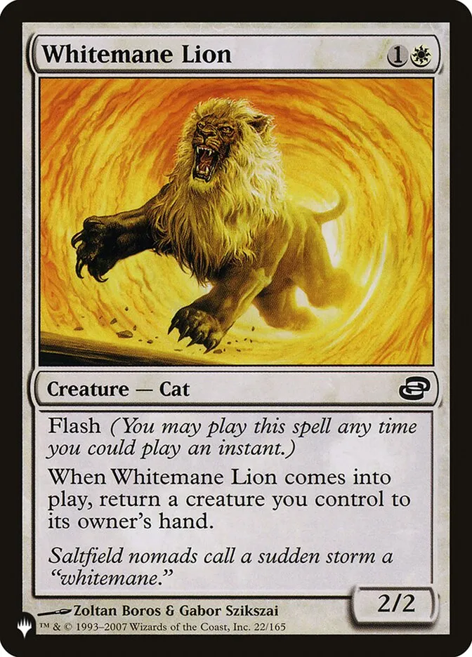 Whitemane Lion Front Face