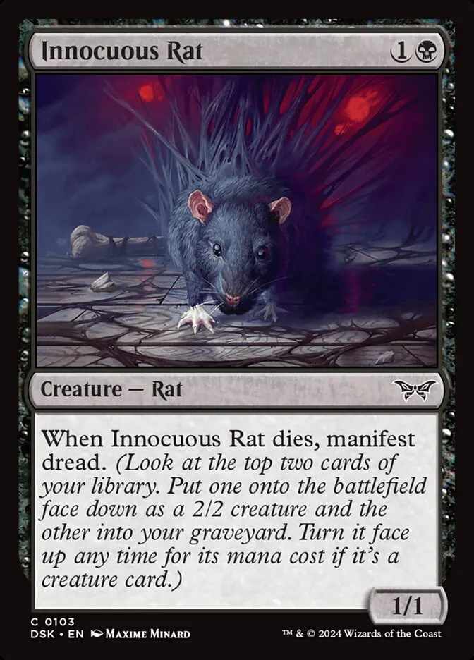 Innocuous Rat Front Face