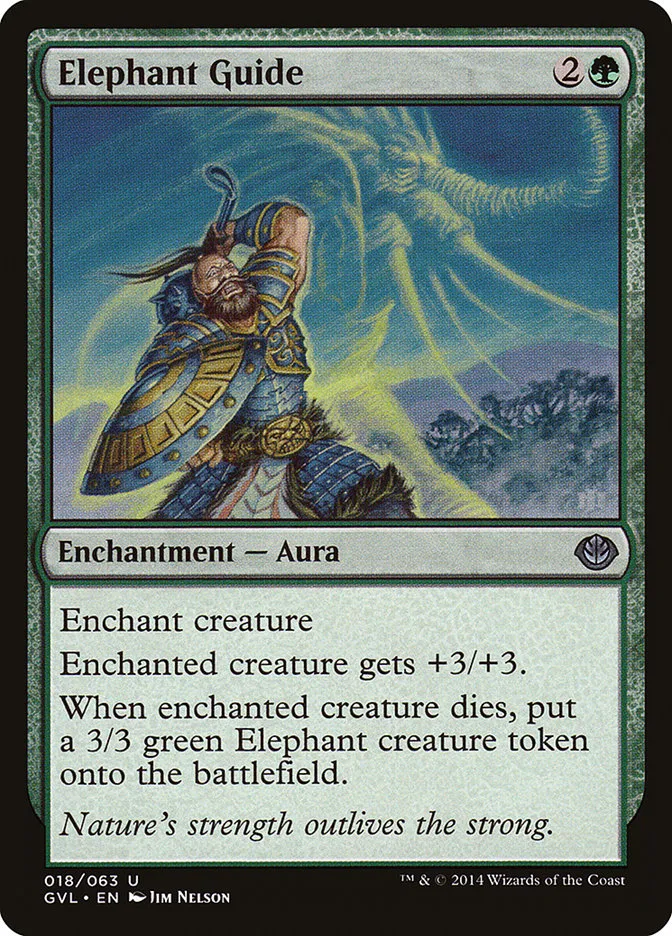 Elephant Guide Front Face
