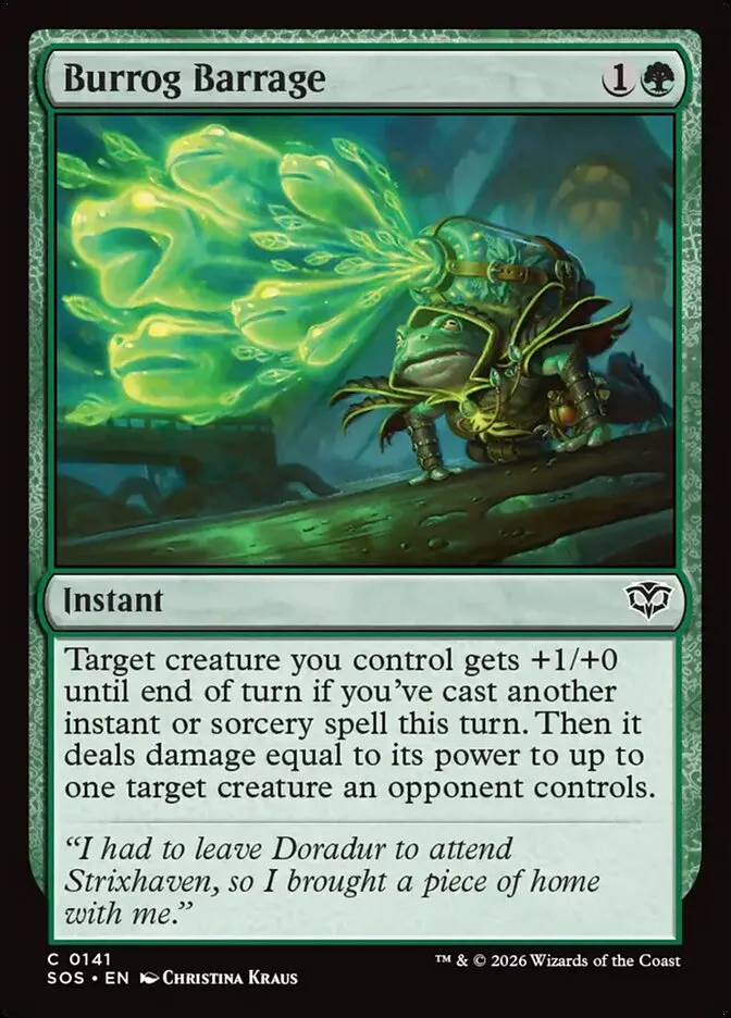 Burrog Barrage Front Face