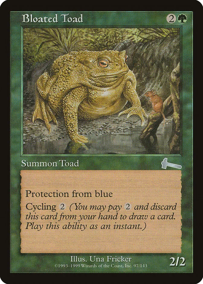 Bloated Toad Front Face