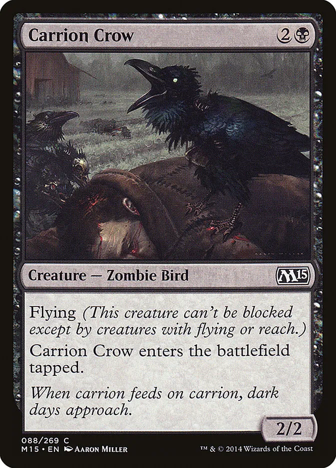 Carrion Crow Front Face