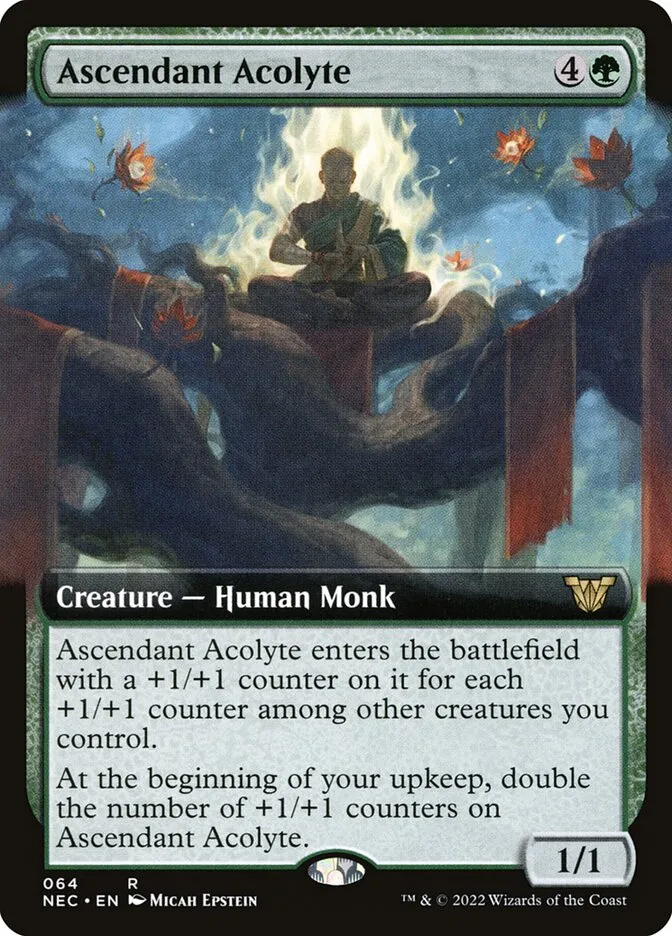 Ascendant Acolyte Front Face