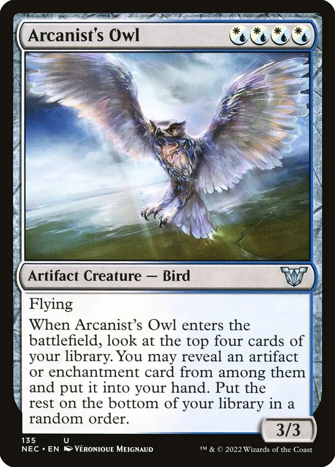 Arcanist's Owl Front Face