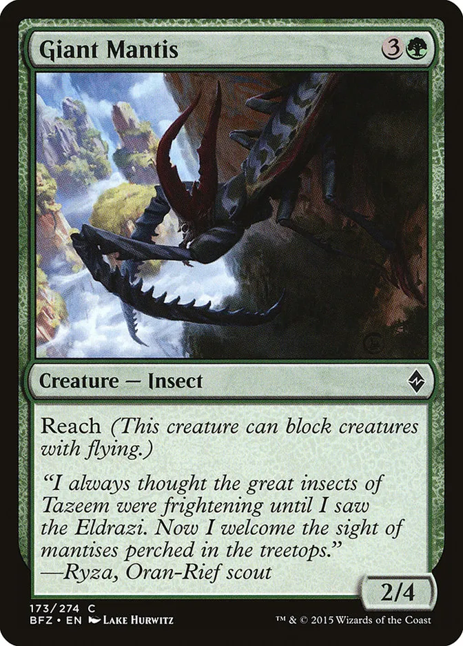 Giant Mantis Front Face