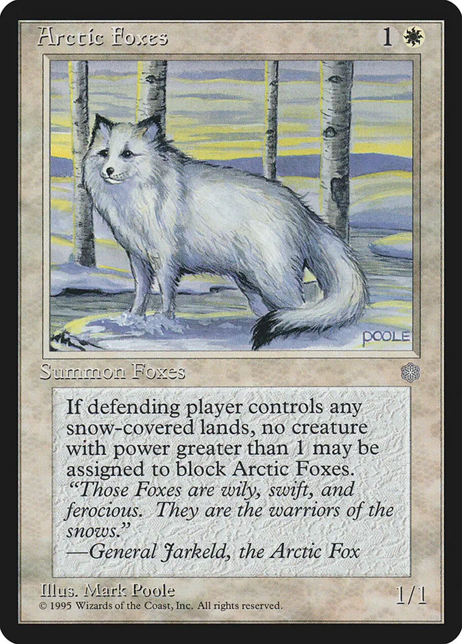 Arctic Foxes Front Face
