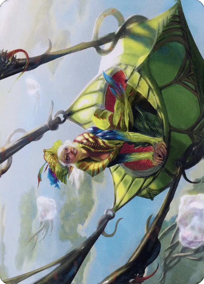 Nael, Avizoa Aeronaut // Nael, Avizoa Aeronaut Front Face
