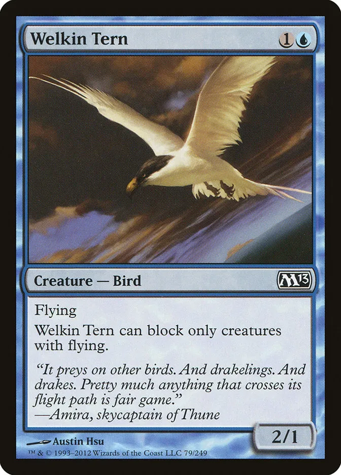 Welkin Tern Front Face