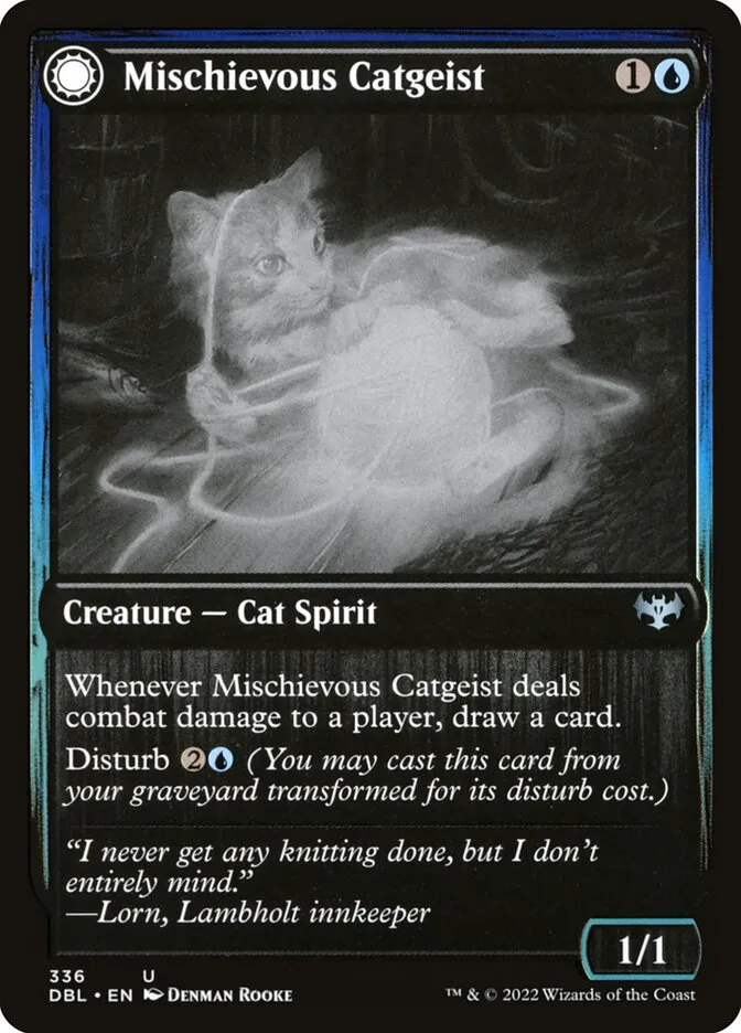 Mischievous Catgeist // Catlike Curiosity Front Face