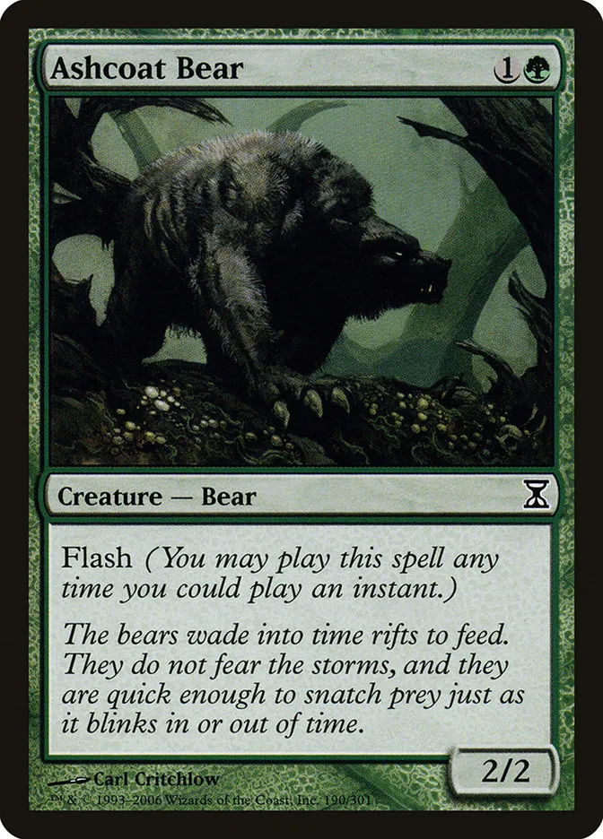 Ashcoat Bear Front Face