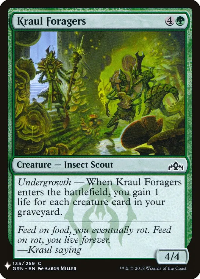 Kraul Foragers Front Face