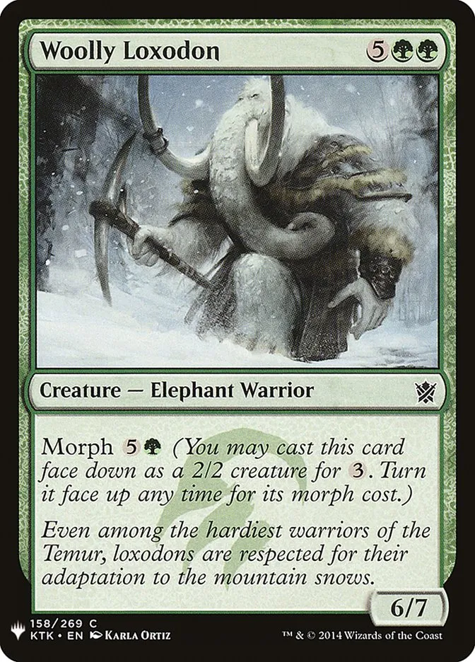 Woolly Loxodon Front Face