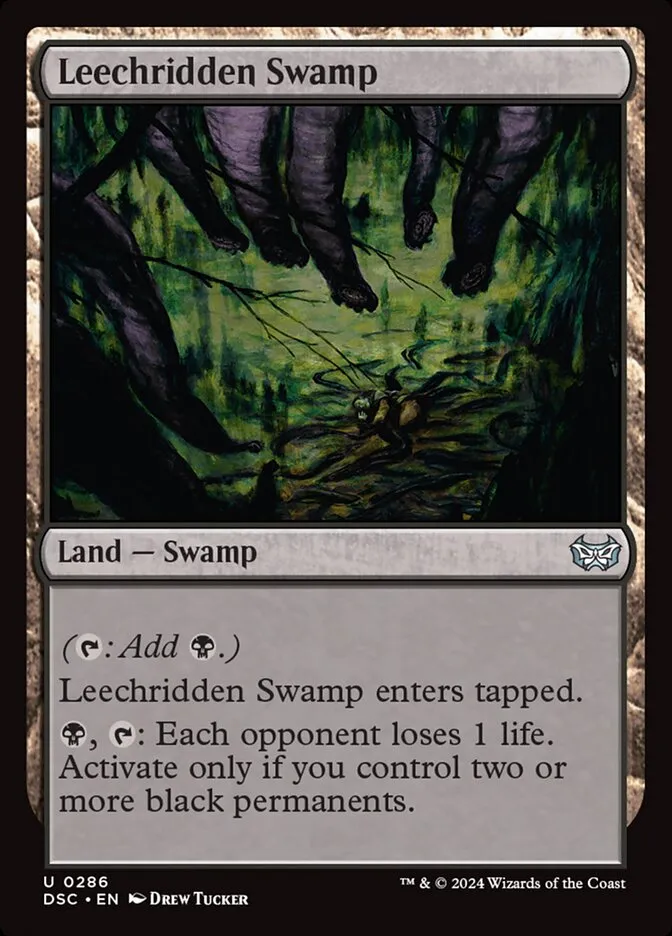 Leechridden Swamp Front Face