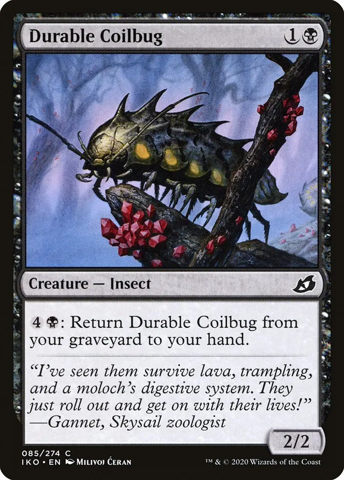 Durable Coilbug Front Face