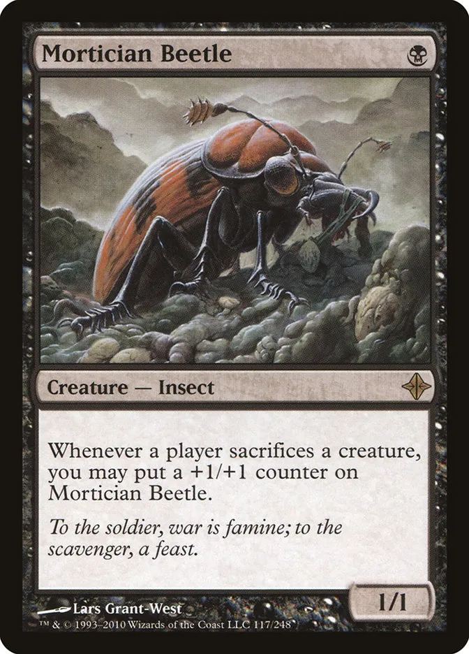 Mortician Beetle Front Face