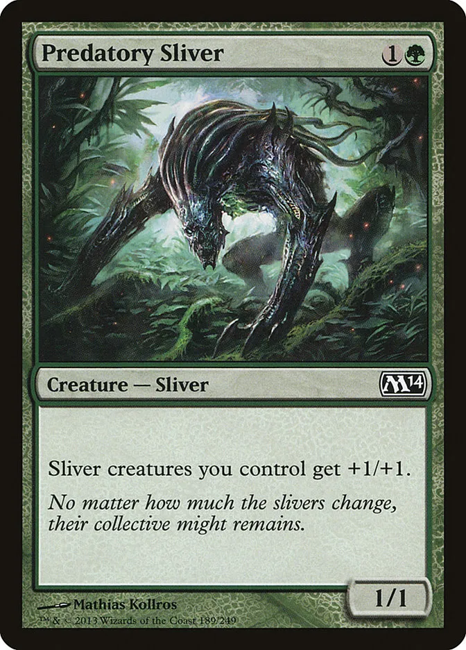 Predatory Sliver Front Face