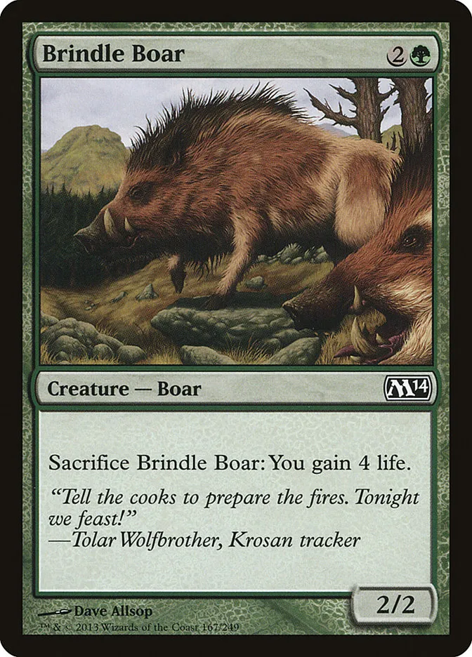 Brindle Boar Front Face