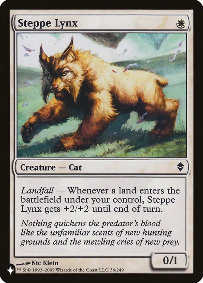 Steppe Lynx Front Face