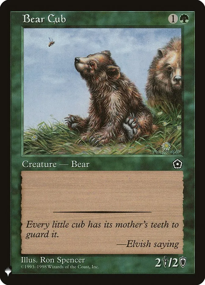 Bear Cub Front Face