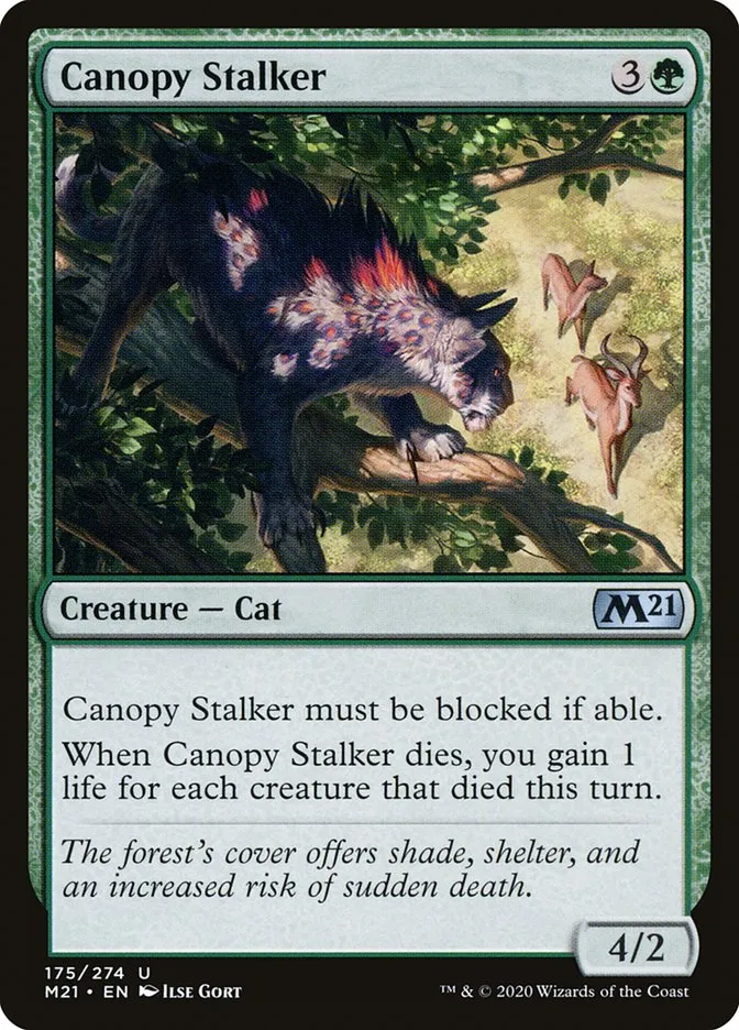 Canopy Stalker Front Face