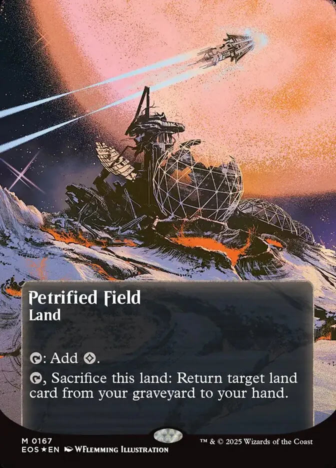 Petrified Field Front Face