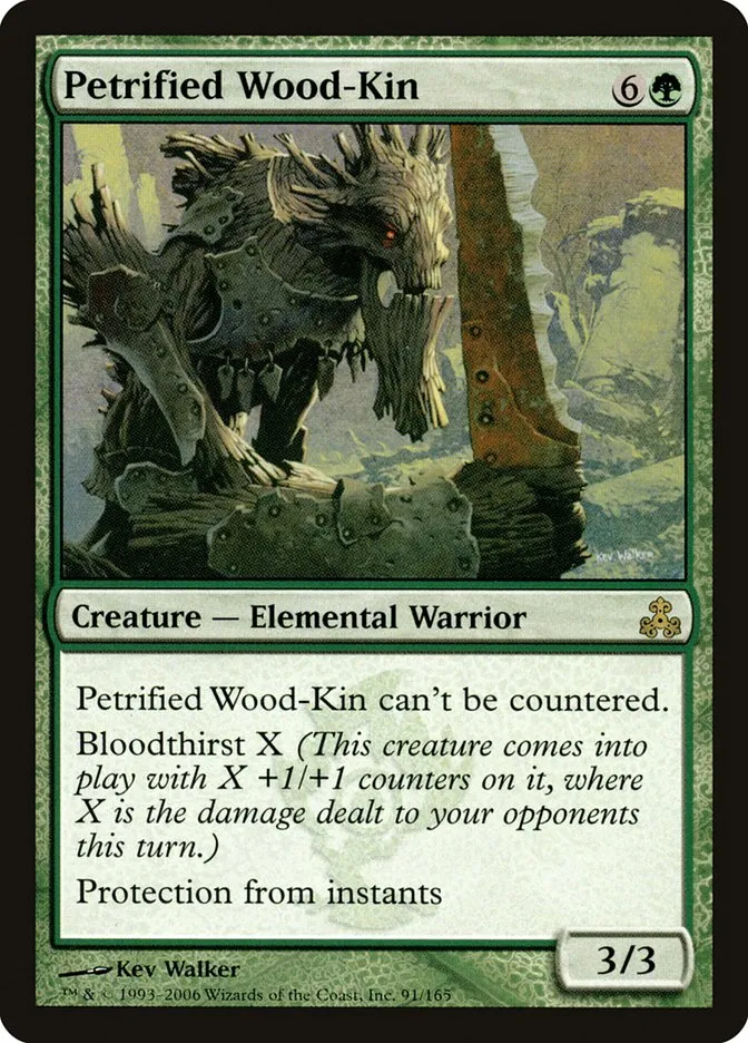 Petrified Wood-Kin Front Face