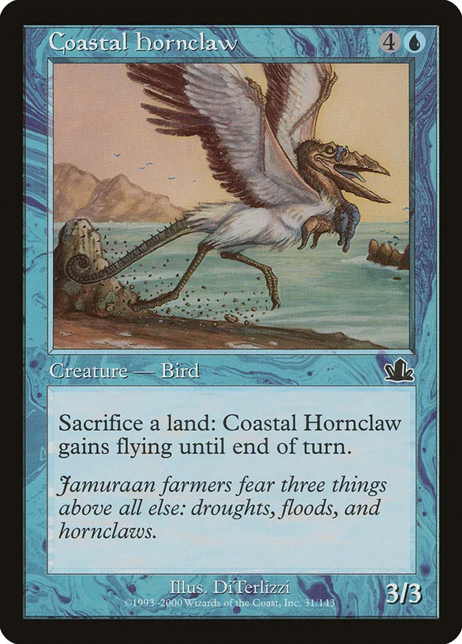 Coastal Hornclaw Front Face
